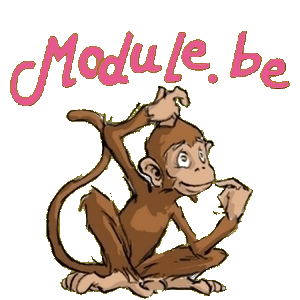 Module